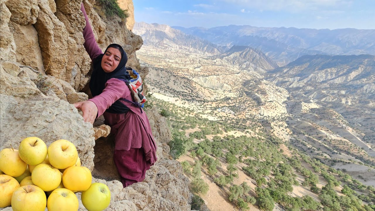 🌄🌄Kulthum's long journey for mountain fruits: Zolma Bazegasht for apple fruit to figs in the rocks🌳