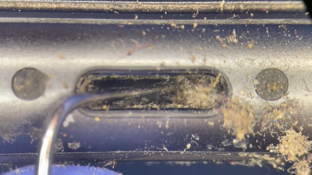 Satisfying iPhone 11 clogged charging port cleaning under the microscope at Phone Fix Craft