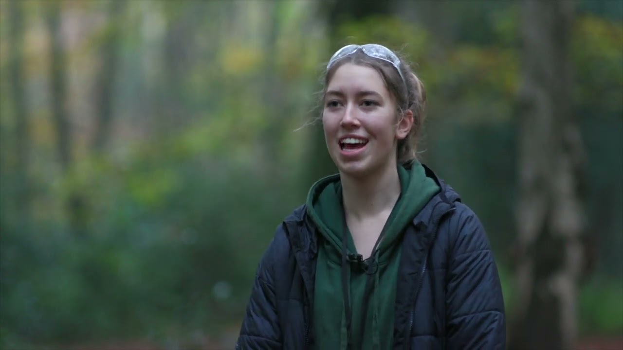 Stepping Stones for Young People