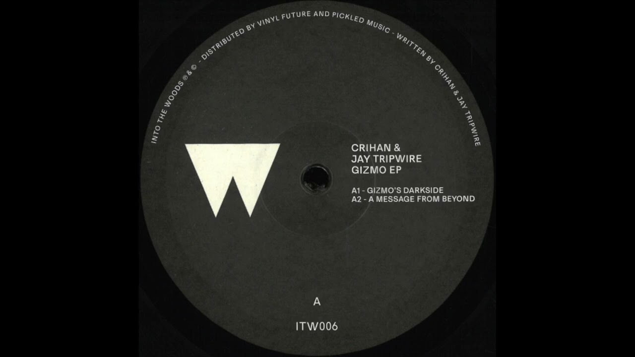 Crihan & Jay Tripwire - A Message From Beyond (A2) - Gizmo EP - ITW006 - [Into The Woods]