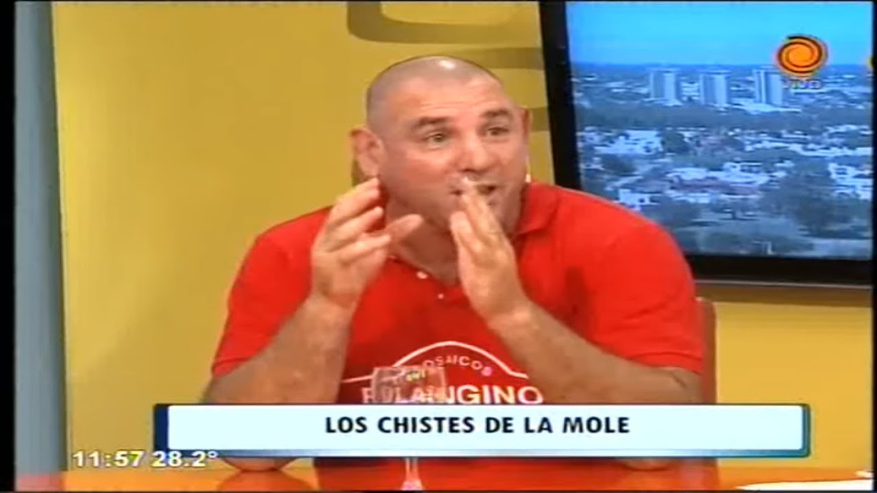 ADIVINANZA de la DUQUESA cuento de LA MOLE MOLI 😂