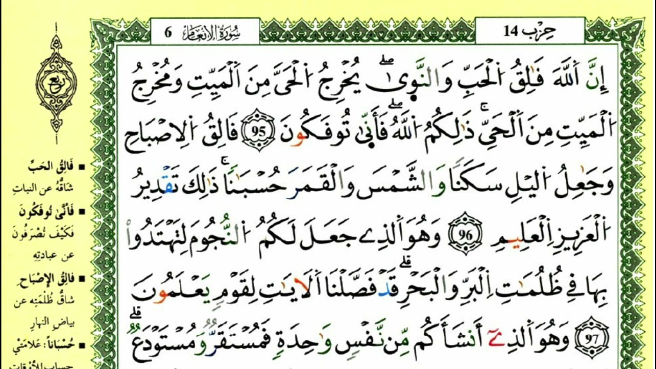 الصفحة 140 :سورة الأنعام من الآية 95 إلى 101