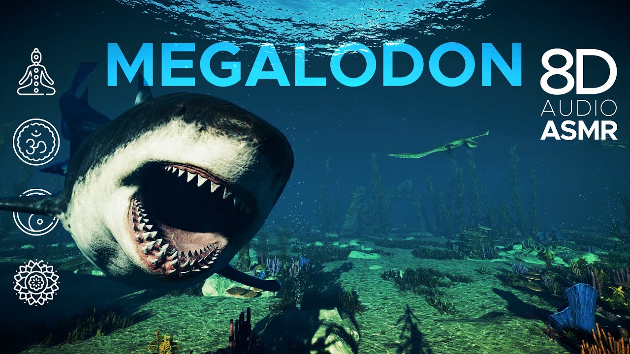 Try relaxing by swimming with Megalodon 🏊🐟