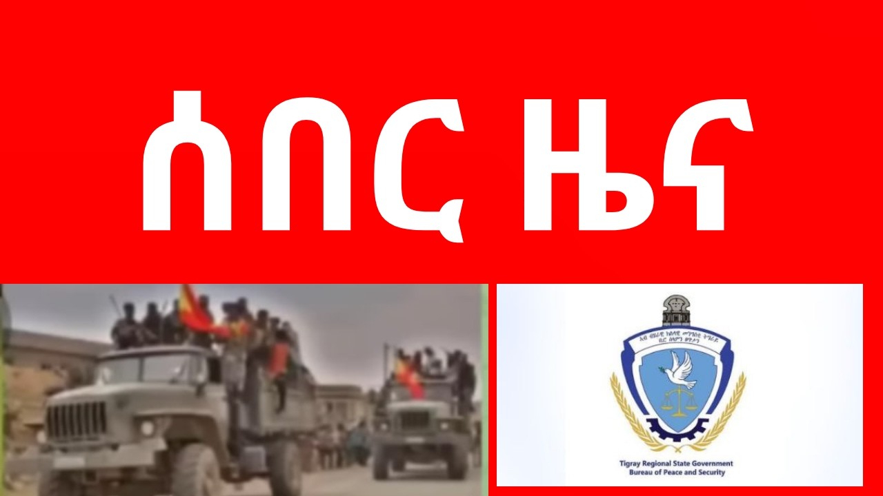 ዘሕጉስ TDF ወሲኖም ኣዊጆም  //  ዘሕብን ተሪር መግለጺ