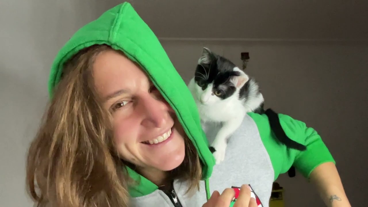 COME abituare un GATTO alla PETTORINA