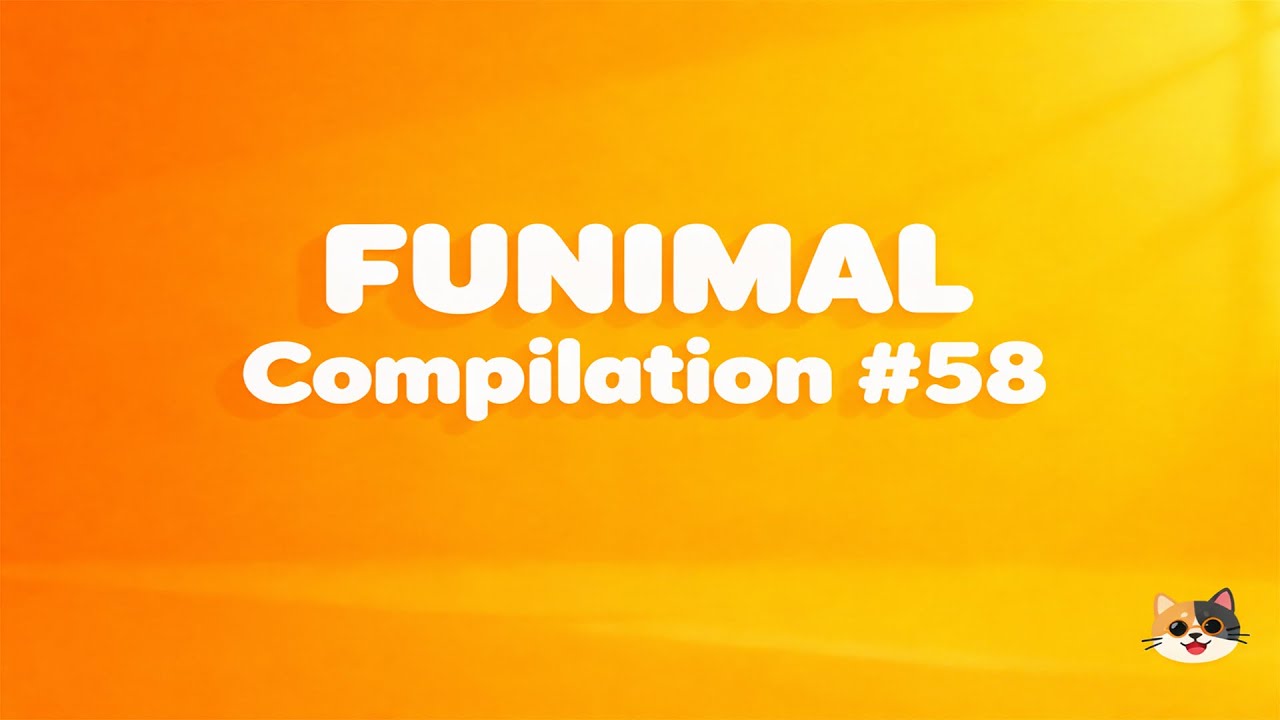 🎄 Holiday Mischief & Winter Surprises | FUNIMAL Compilation #58