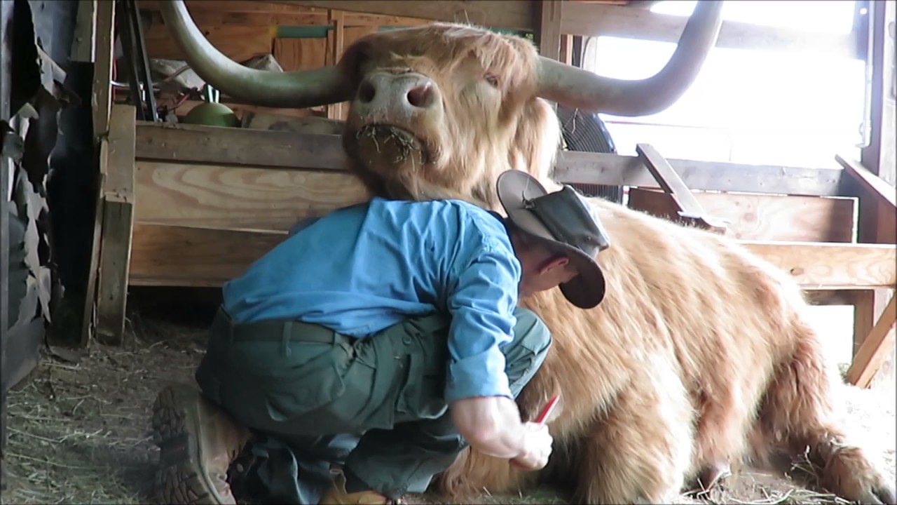 Hamish hugs