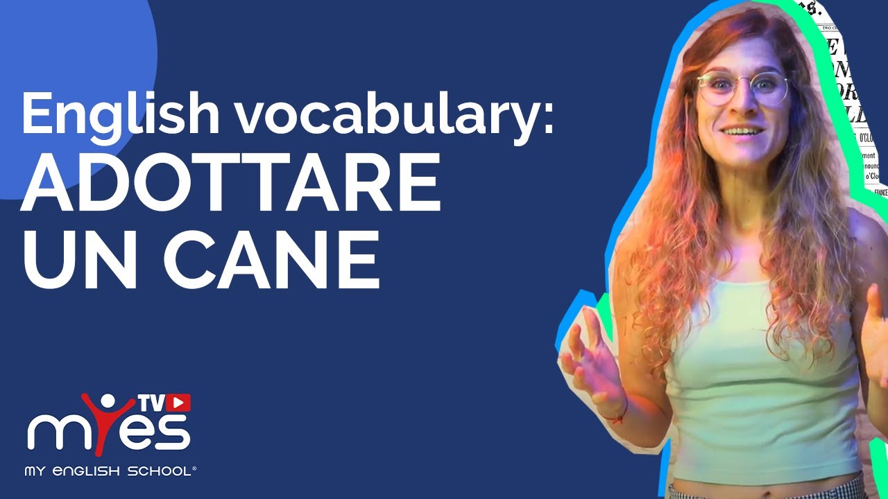 VOCABOLI INGLESI più usati per ADOTTARE un CANE - Speak Like A Native - MyES TV™