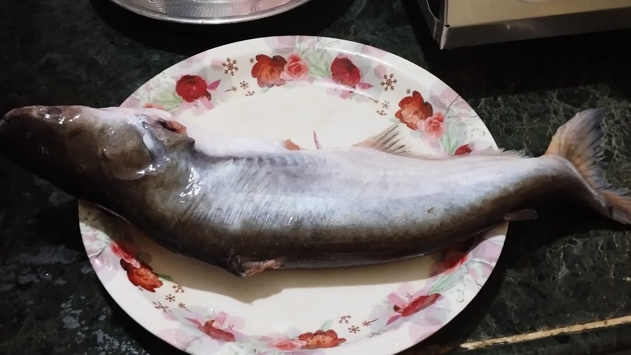 Tasty fish #food #support #cooking 🤤