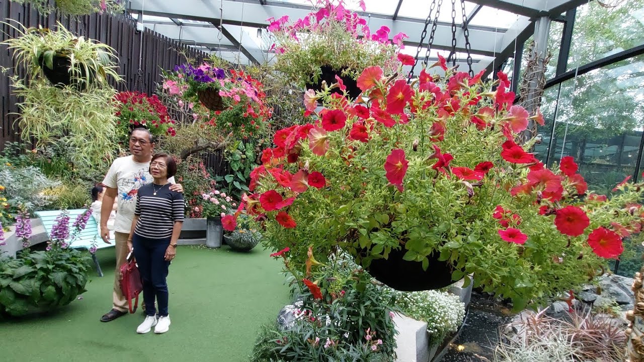 Singapore Gardens by the Bay Floral Fantasy November 2024 Day 3
