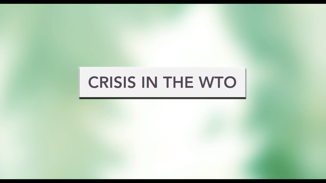 Crisis in the WTO