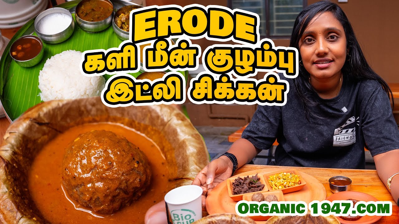 Vegetarian களி மீன் குழம்பு , இட்லி சிக்கன், I 1947 Organic Hotel I Erode