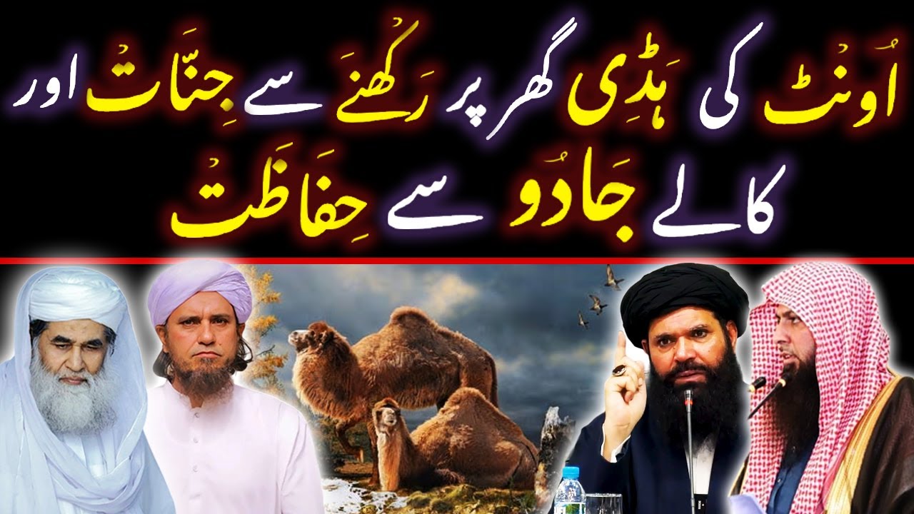 Oont Ki Haddi (BONE) Se Shifa Hi Shifa ??? Camel Bone Karishma | Best Religion Feat By Syed hamza