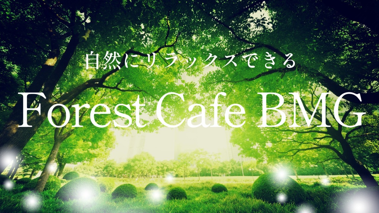 【朝カフェ洋楽🌿】歌詞なし｜森のカフェで流れる爽やかでゆっくりなBGM☕｜作業用BGM｜カフェBGM｜Chill & Relax｜Forest Cafe｜1時間