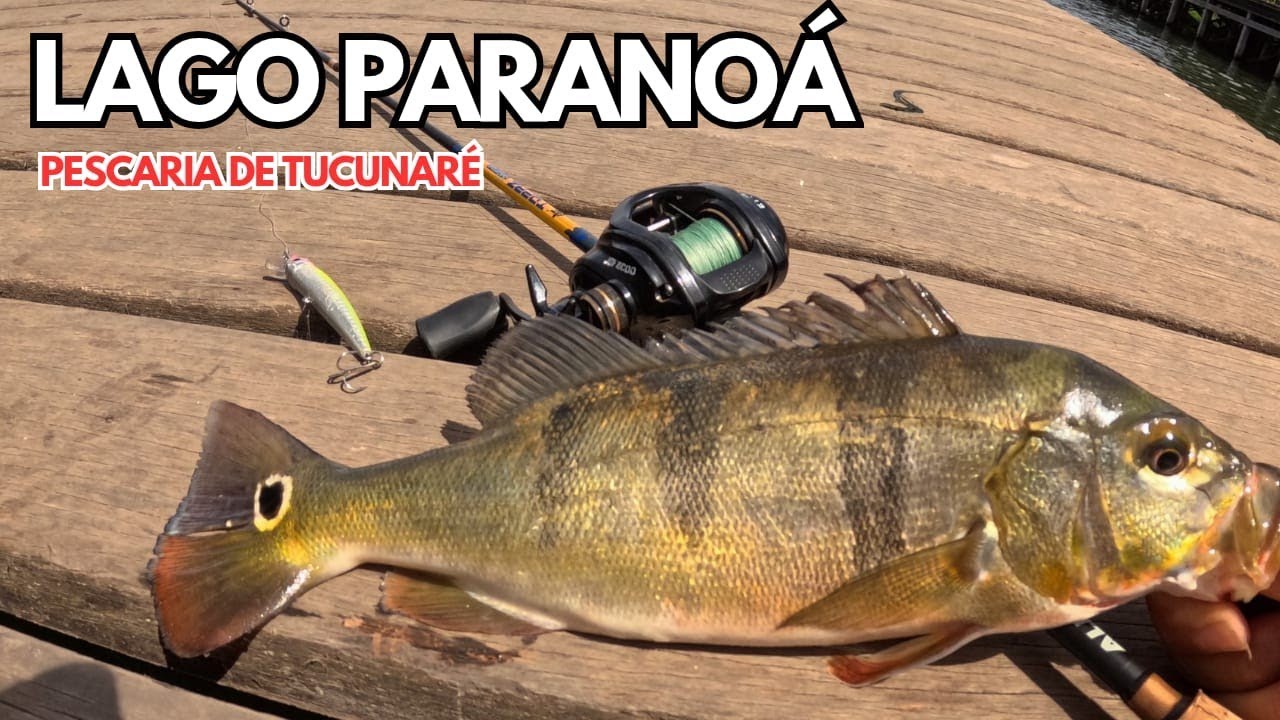PESCARIA DE TUCUNARÉ no Lago Paranoá em Brasília. Ponte JK e Deck Sul #mererofishing 