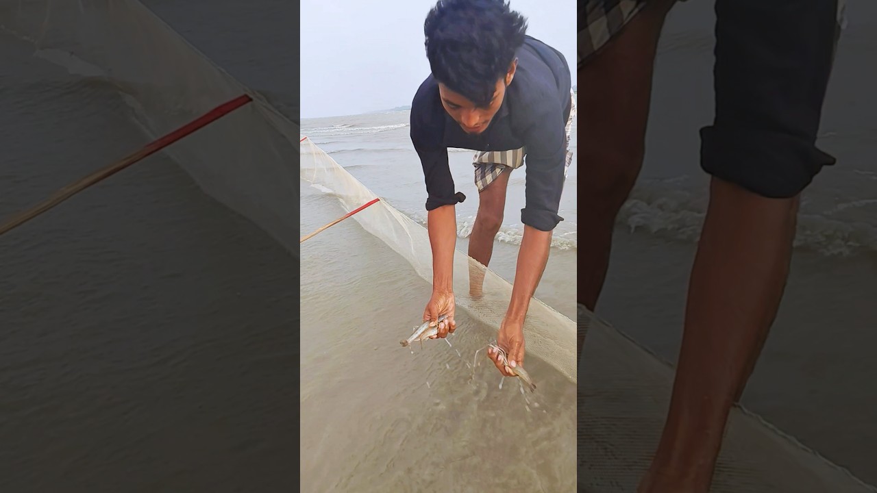 The water is not receding due to the flood, so everyone is fishing with excitement #shorts #fishi...