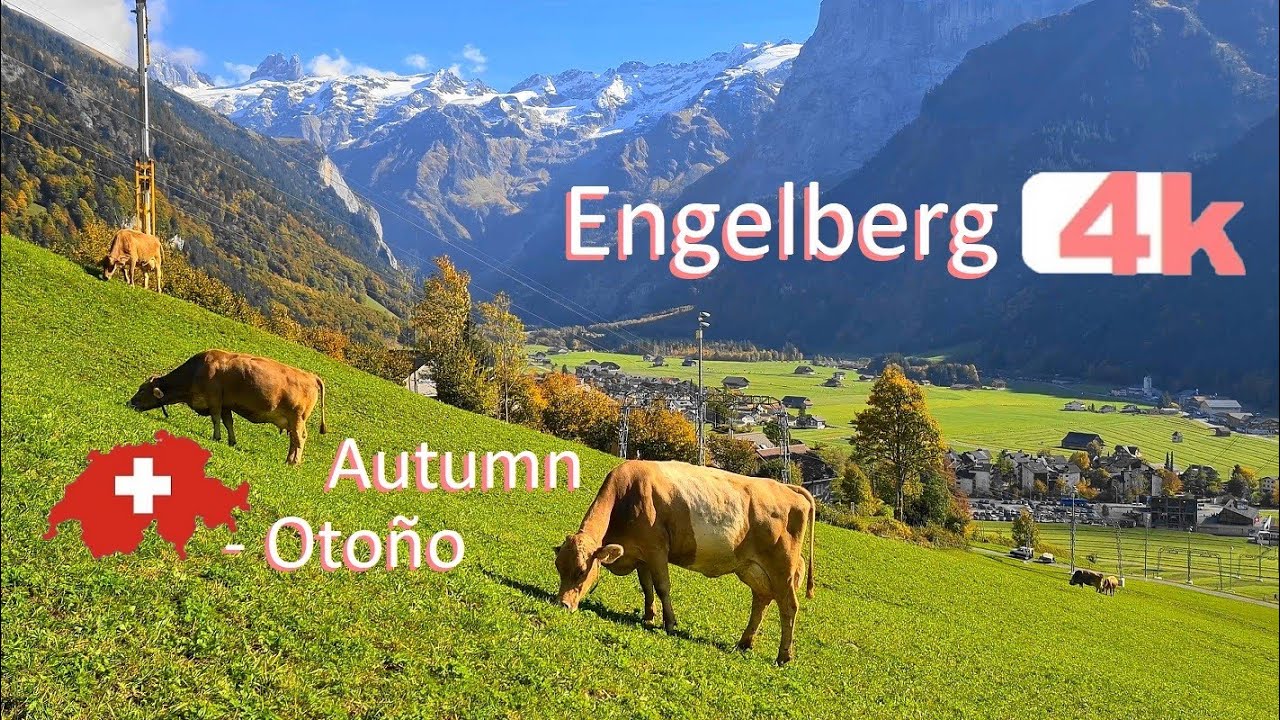🇨🇭 SWITZERLAND - ENGELBERG - Walking Tour beautiful villages - hermosos pueblos - 4k