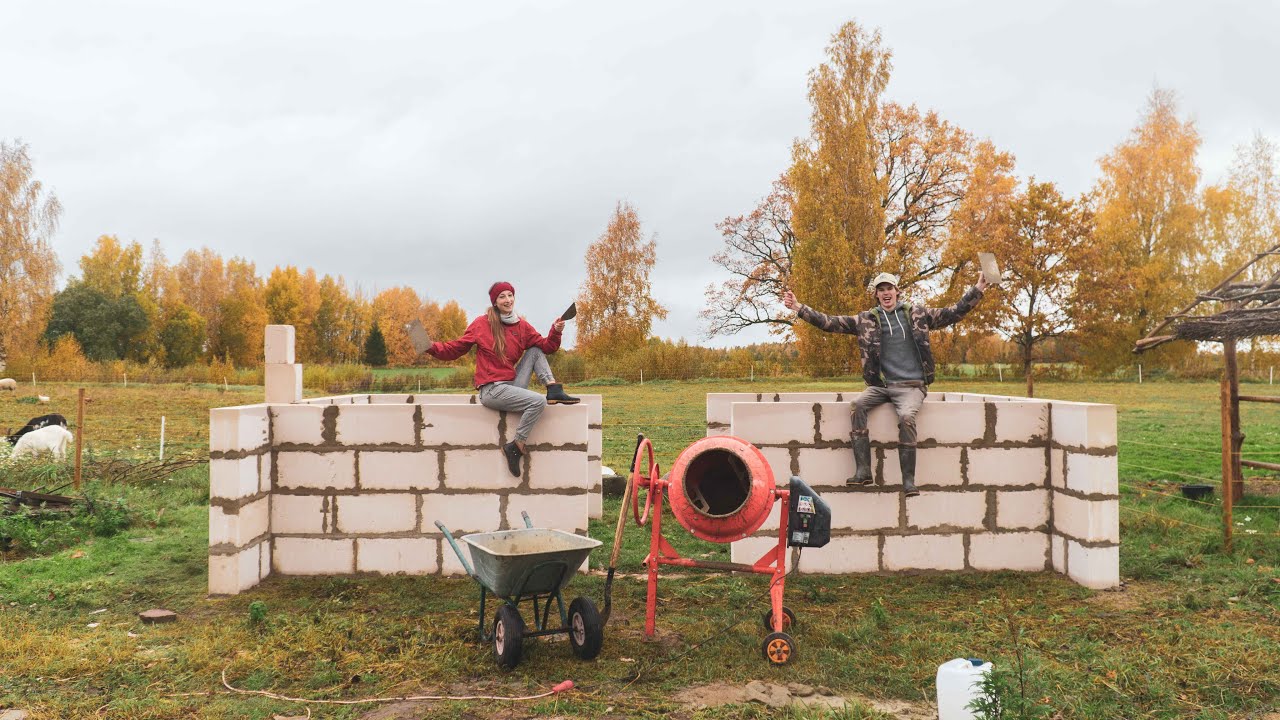 Let's DO the WALL'S (Animal Stable)