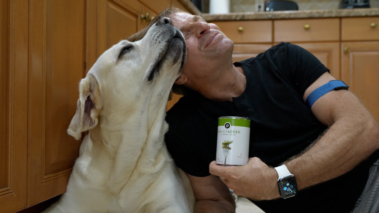 Neo is on a Diet - The Green Bean Diet for Dogs