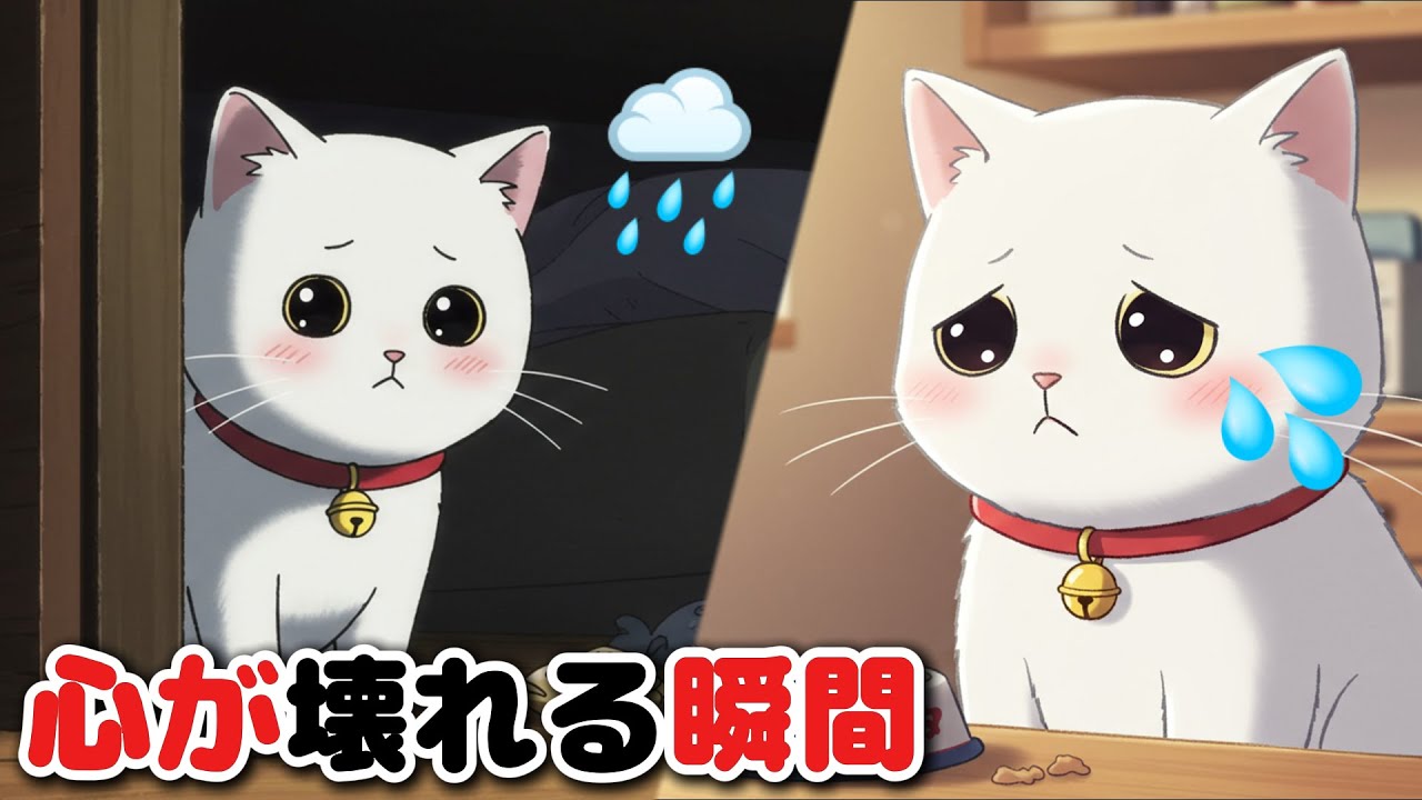 猫は本当に悲しい？【95％が知らない５つの行動】