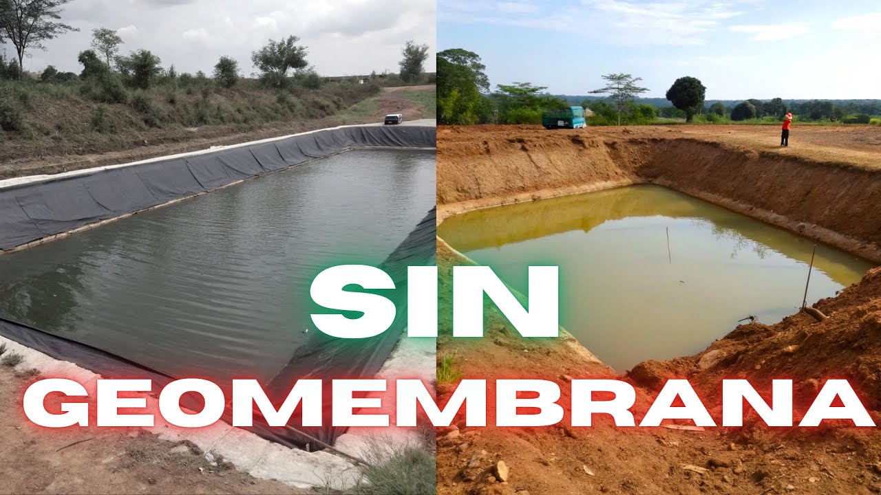 ¿Se Puede CRIAR Peces en un POZO de TIERRA con buenos RESULTADOS?