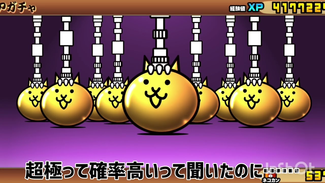 超極ネコ祭引いたらエグい神引きしました