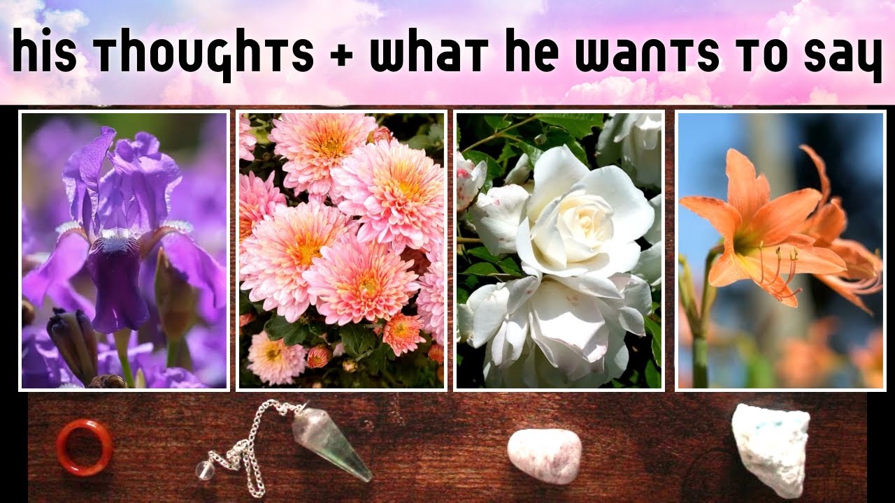 🌻 HIS THOUGHTS OF YOU 🌻 What He Wants to Say 🌻 Pick a Card Tarot
