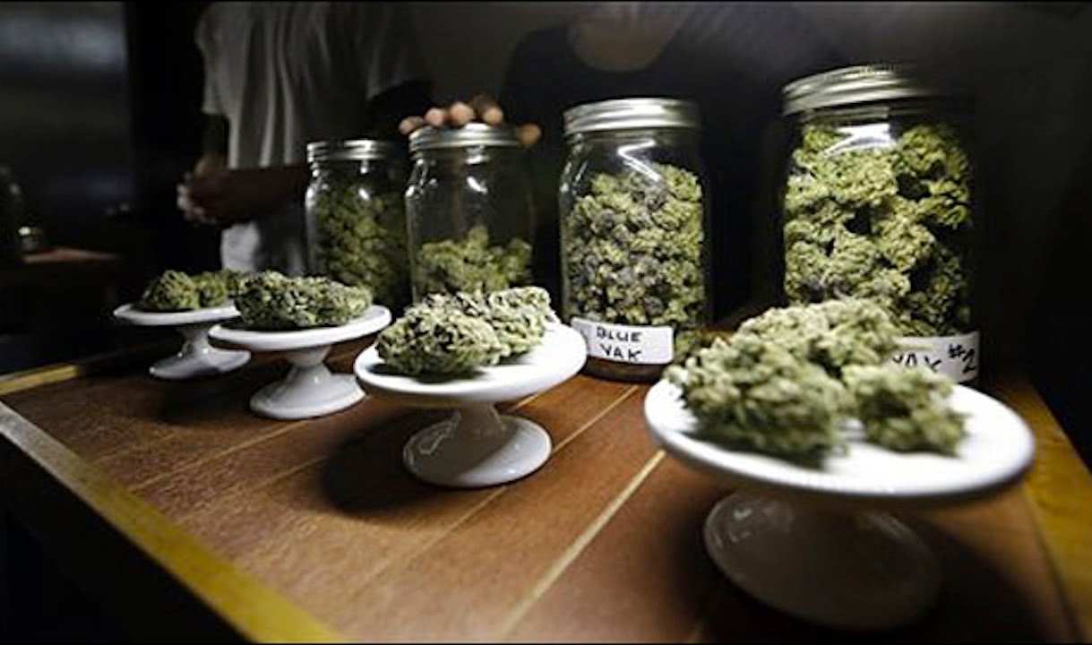 Recreational Vs Medicinal Marijuana. Washington Regulation Debate