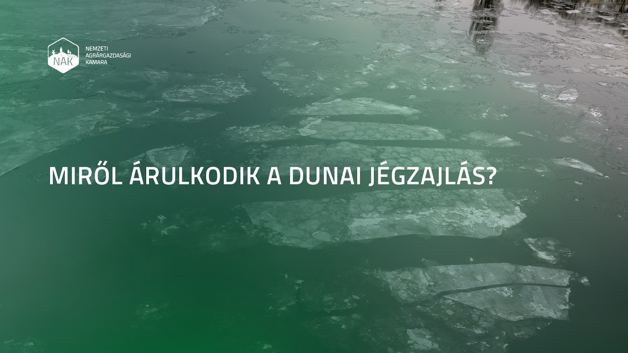 Miről árulkodik a dunai jégzajlás?