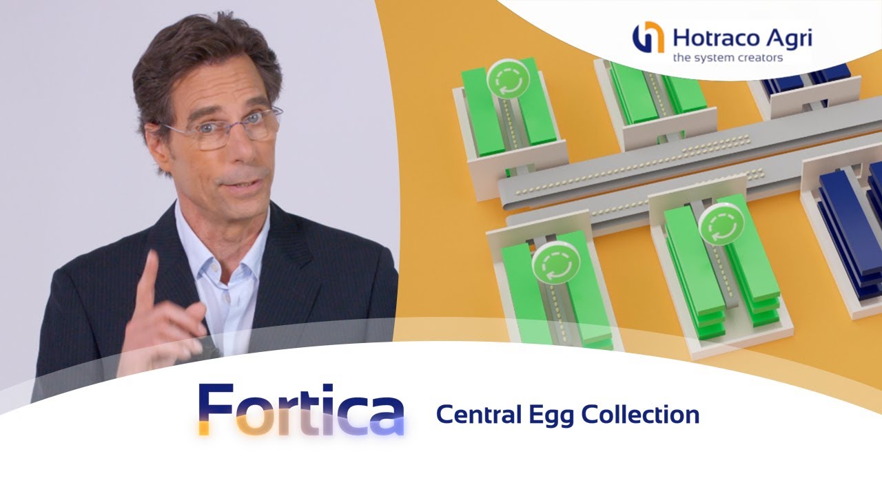 Fortica-CEC makes egg collection easy, automatic and effective (USA, English subtitles)
