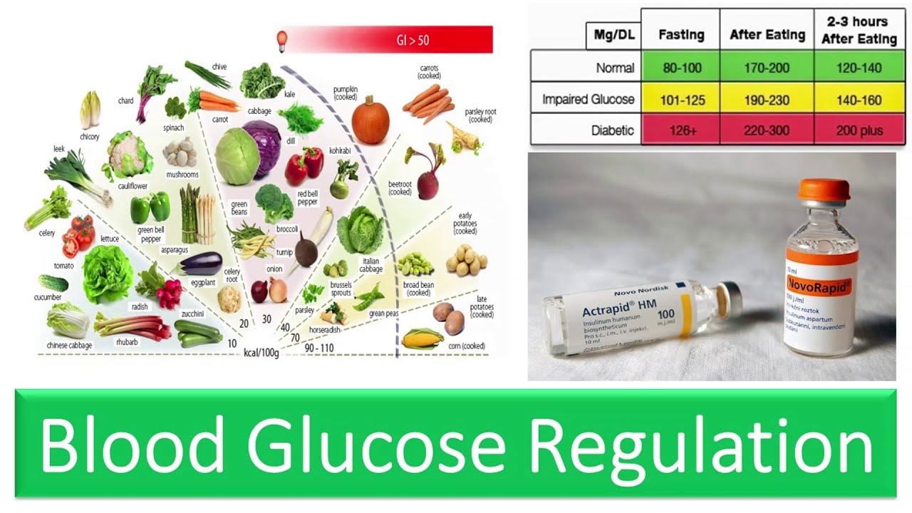 Blood Glucose Regulation -Blood Sugar Levels, Role of Insulin & Glucagon, Fasting and Post Prandial