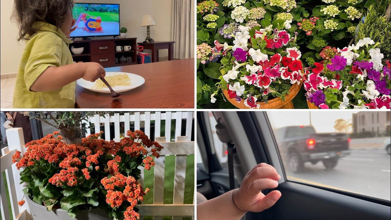 A Lazy Day Morning 10:00AM🤷🏻‍♀️.....Satrting 🫰കുർച്ച് Flower കണ്ടല്ലോ 💁🏻‍♀️🌸🌻🌷🥀🌼🌼🌼🪻