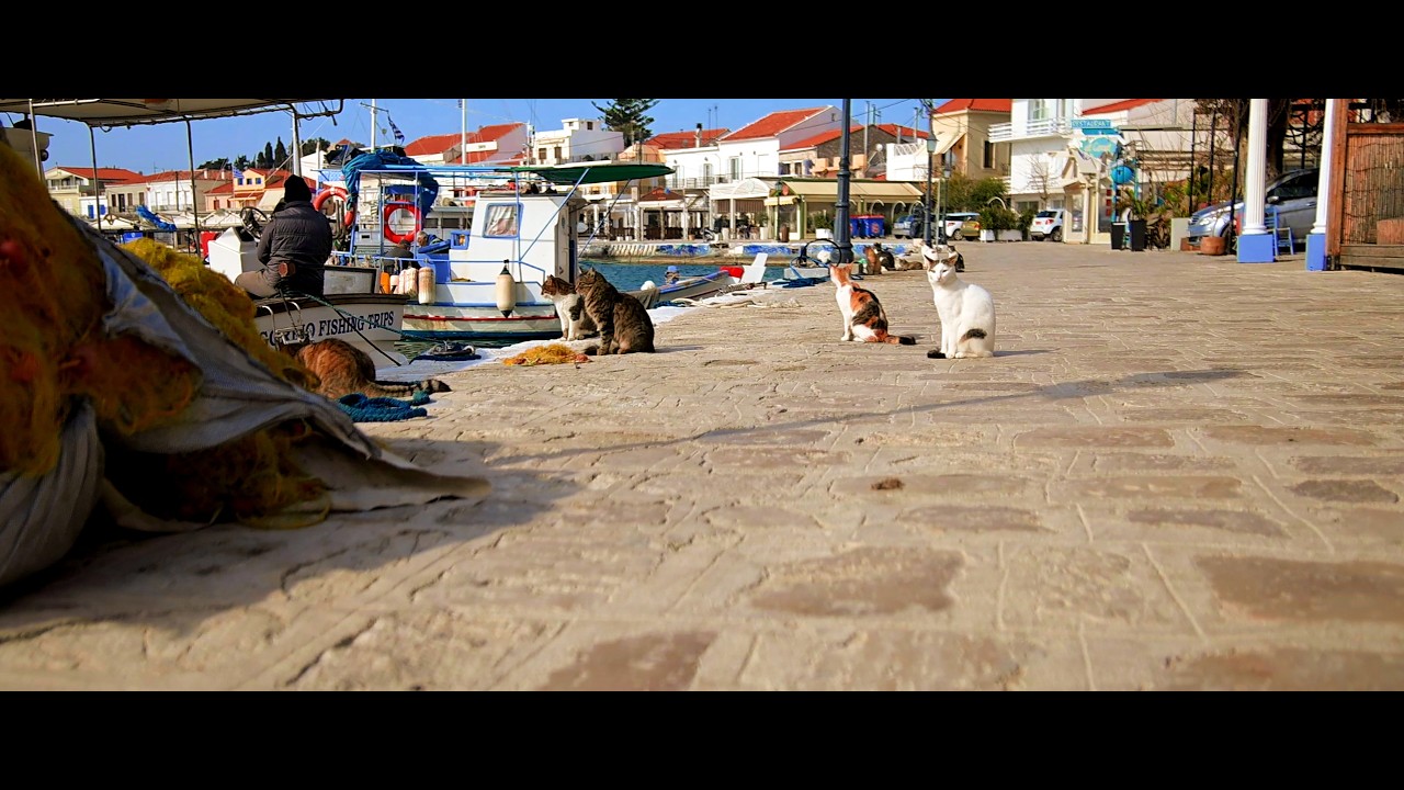 Teaser for the Movie Island Samos