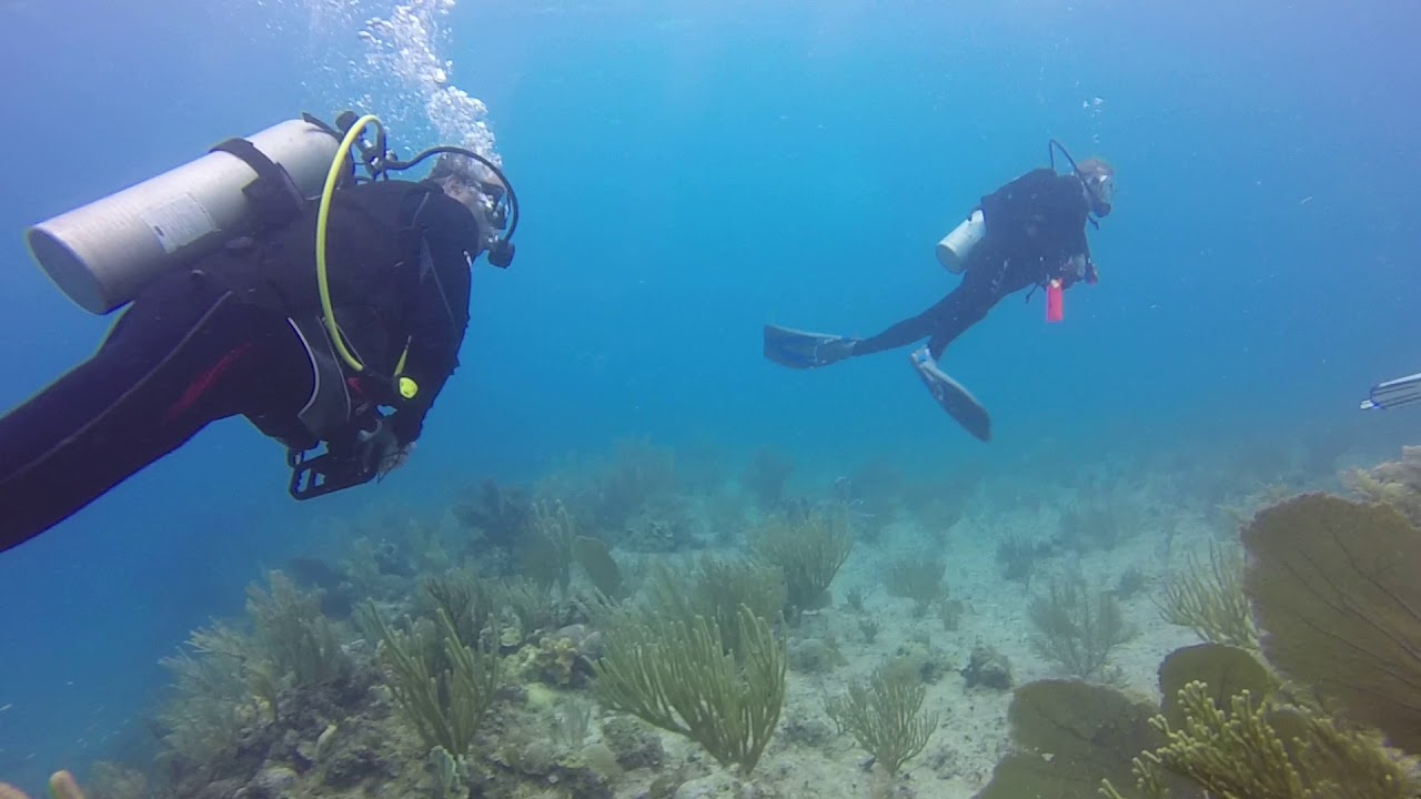 Riviera Maya 27 aout 2017 1de 5