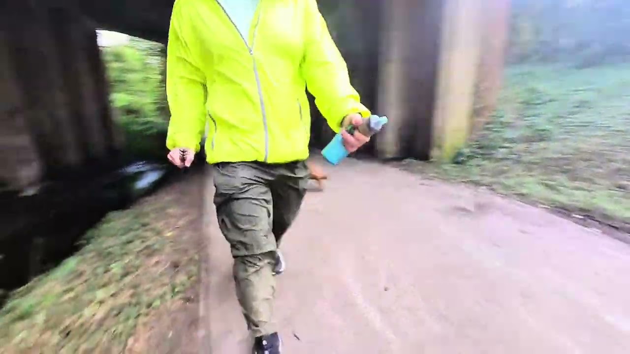 12/03/26 trail run willow 