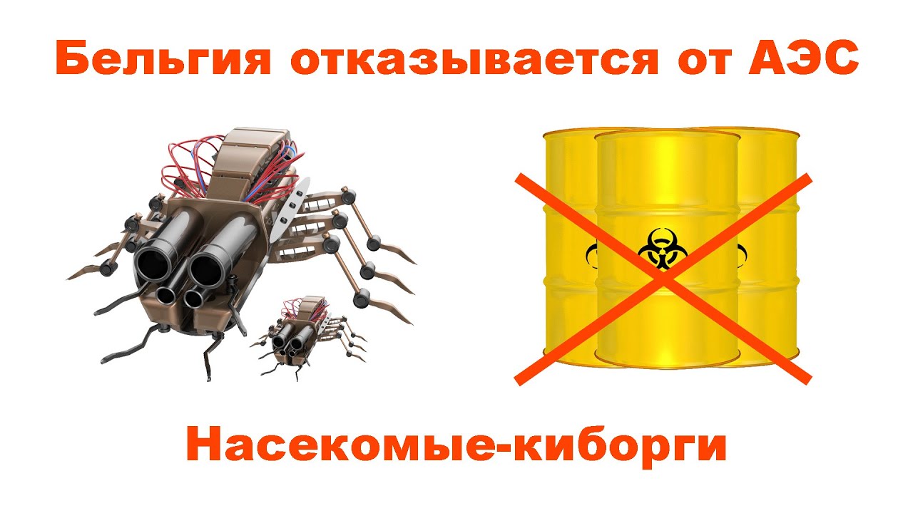 Бельгия отказывается от атомной энергетики и насекомые-киборги для слежки за человеком.