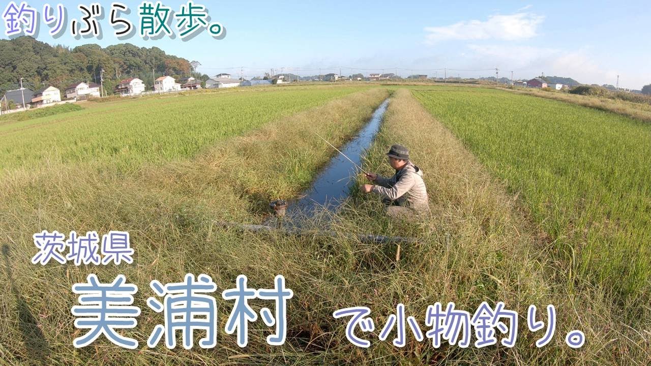 【小物釣り】茨城県 のどかな美浦村で小物釣り。【淡水】