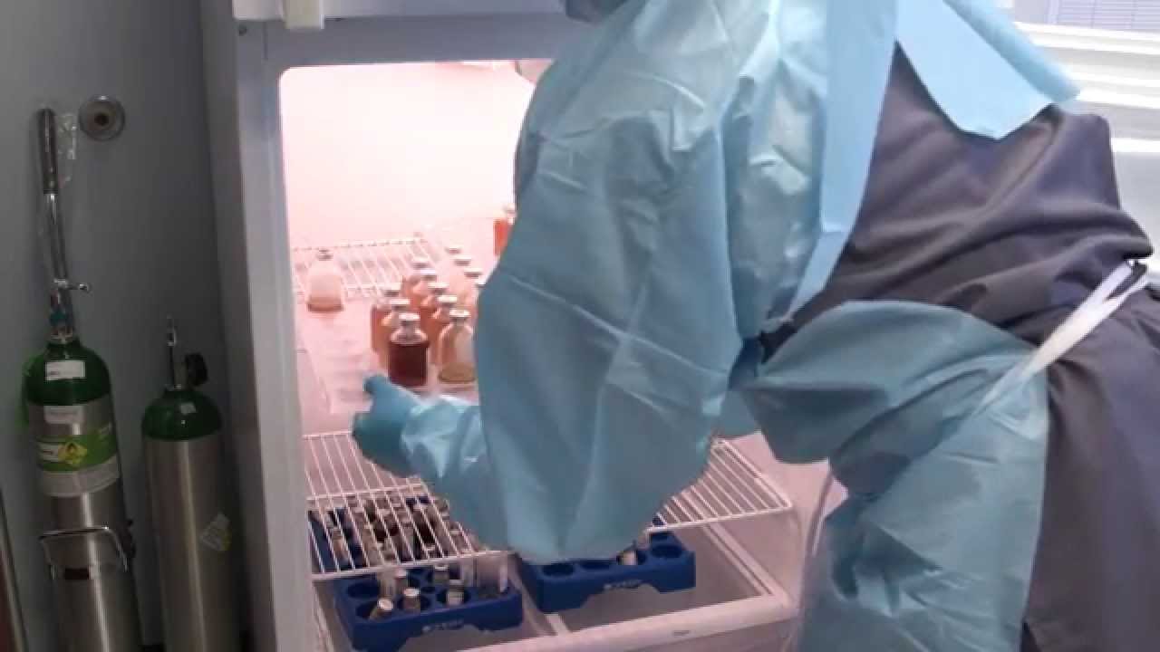 ENT and Allergy Associates: Central Mixing Facility