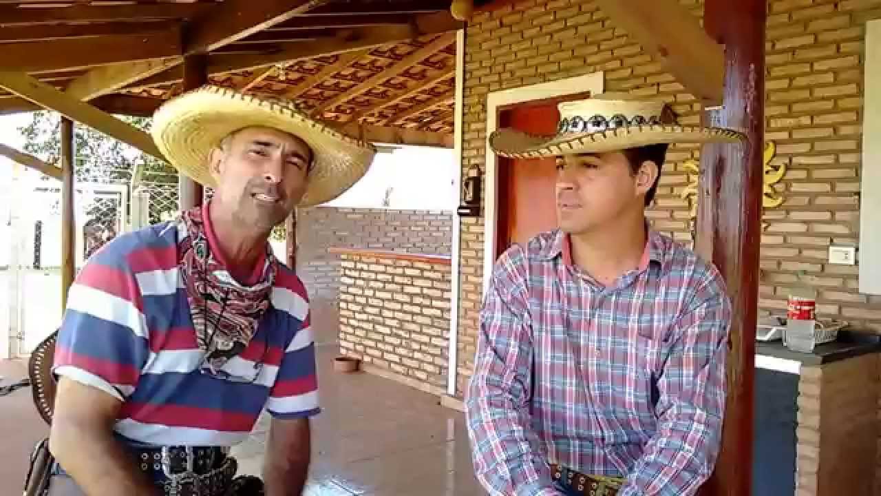 A diferença entre Mula e Burro