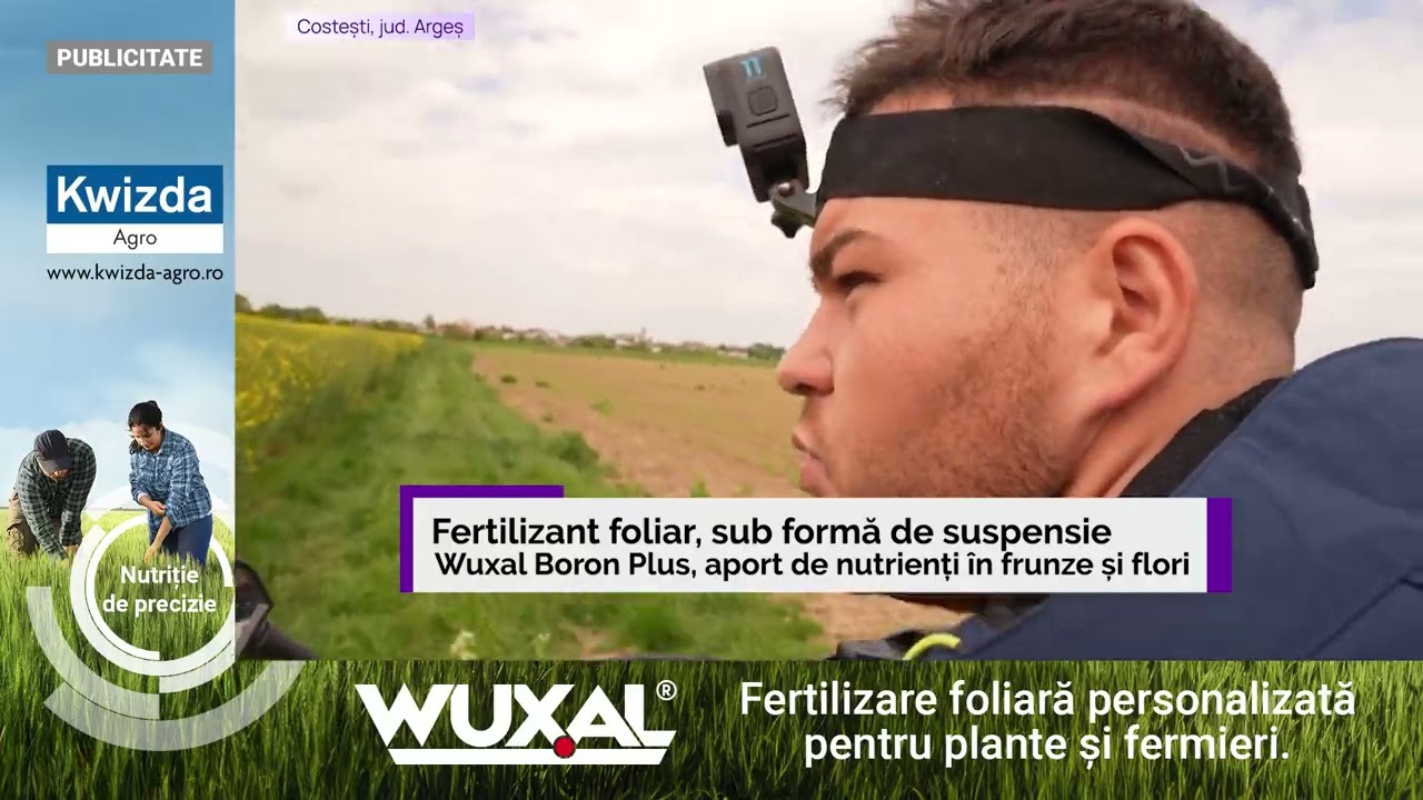 Fermierii care au aplicat fertilizantul foliar WUXAL BORON PLUS la rapiță își spun părerea
