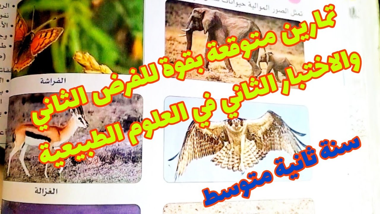 التمارين المتوقعة في الفرض الثاني و الاختبار الثاني في العلوم الطبيعية للسنة الثانية متوسط