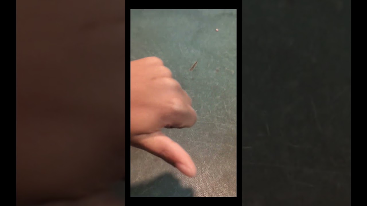 Can't Escape (ft. 8 Pool Maze) (for Ep5!) (official music video!)