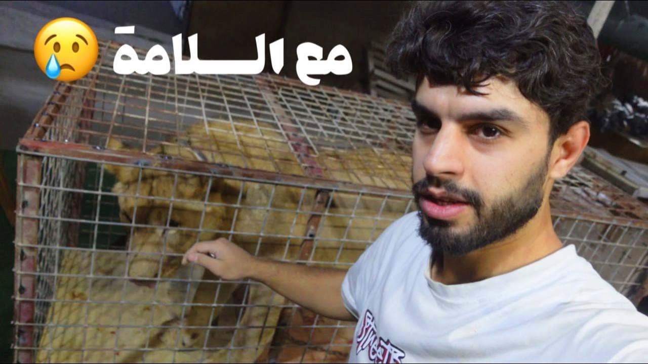 مع السلامة ليو الوداعية 😔💔