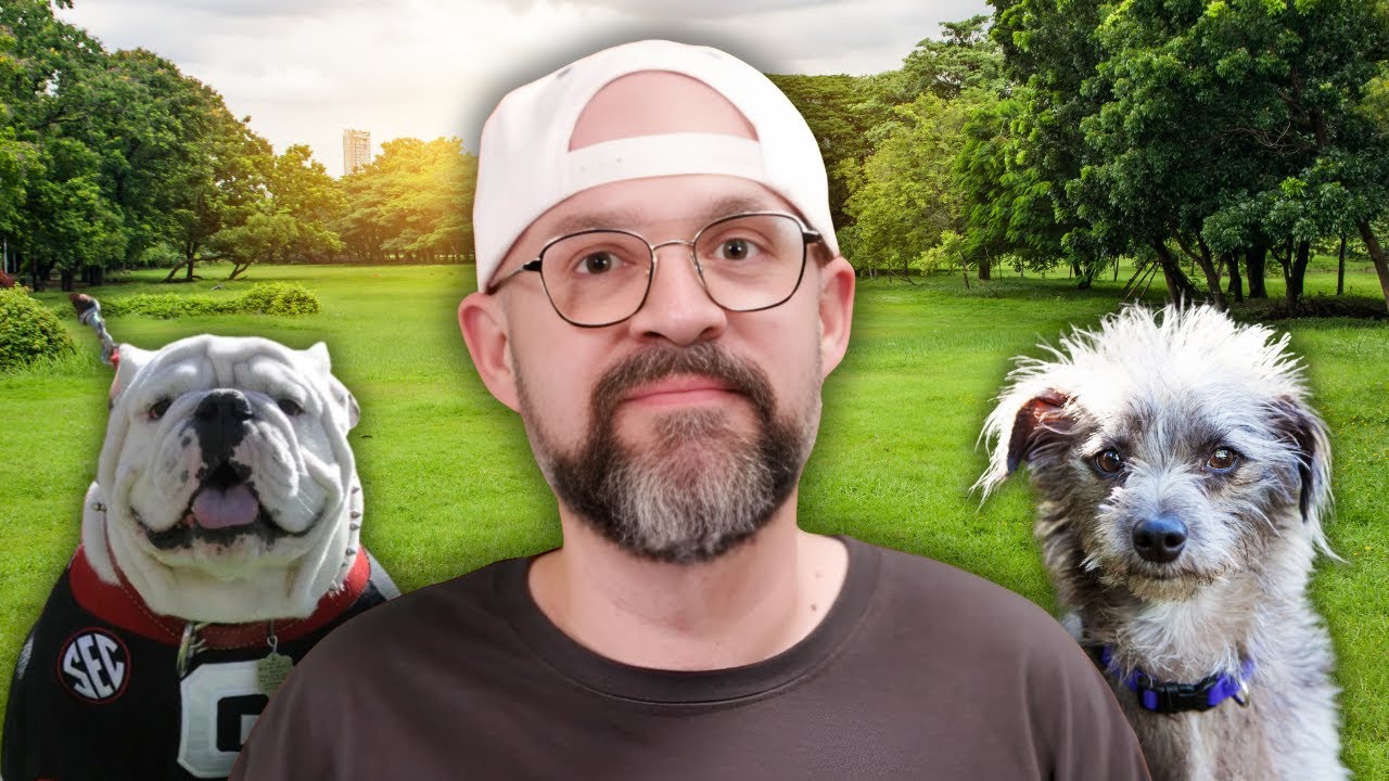 The 6 Types of Dogs (Yes, This is All of Them)