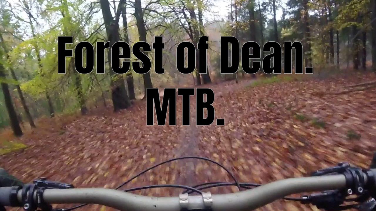 Forest of Dean, Cannop Valley. Mountain biking on the Verderers Trail.  Nov 2025