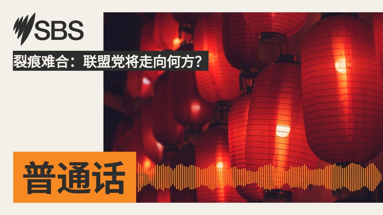 裂痕难合：联盟党将走向何方？ | SBS Mandarin - SBS 普通话电台