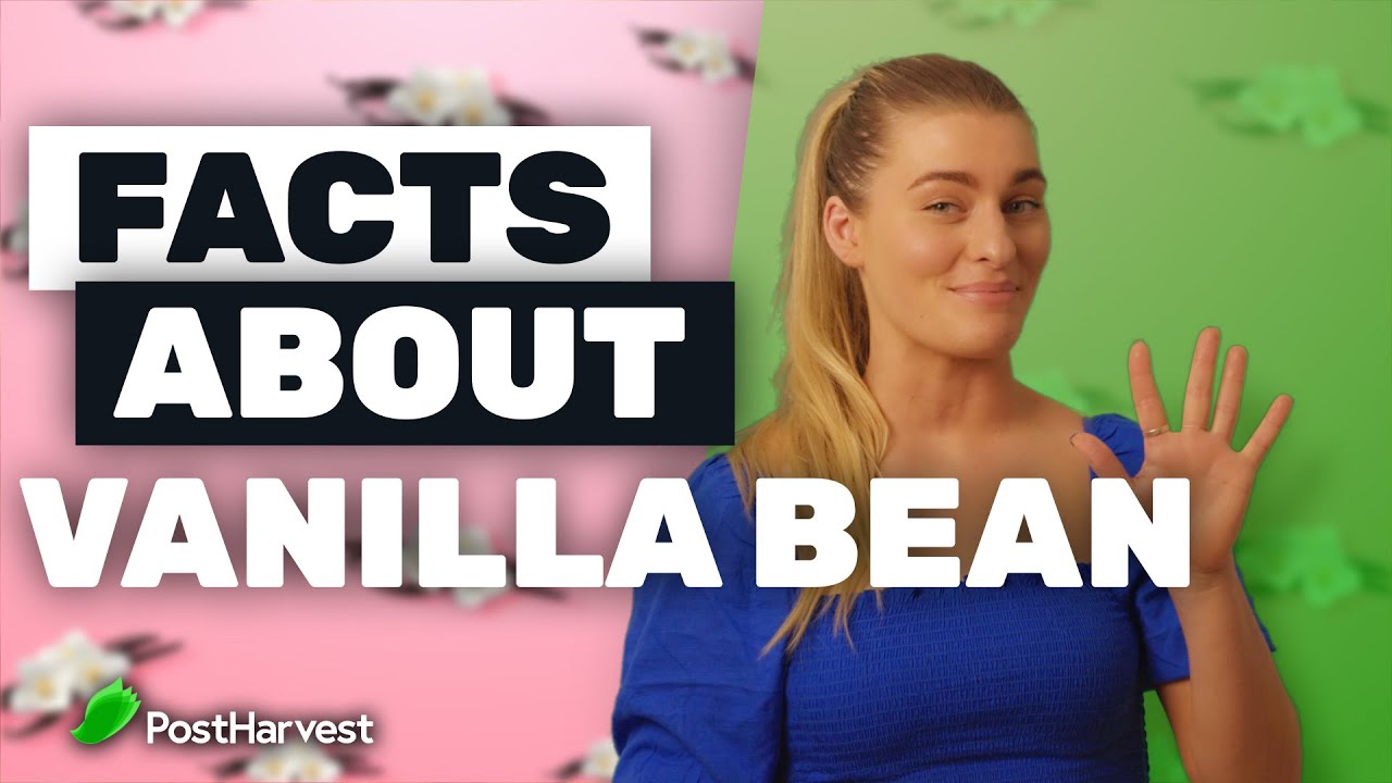 Facts About Vanilla Bean