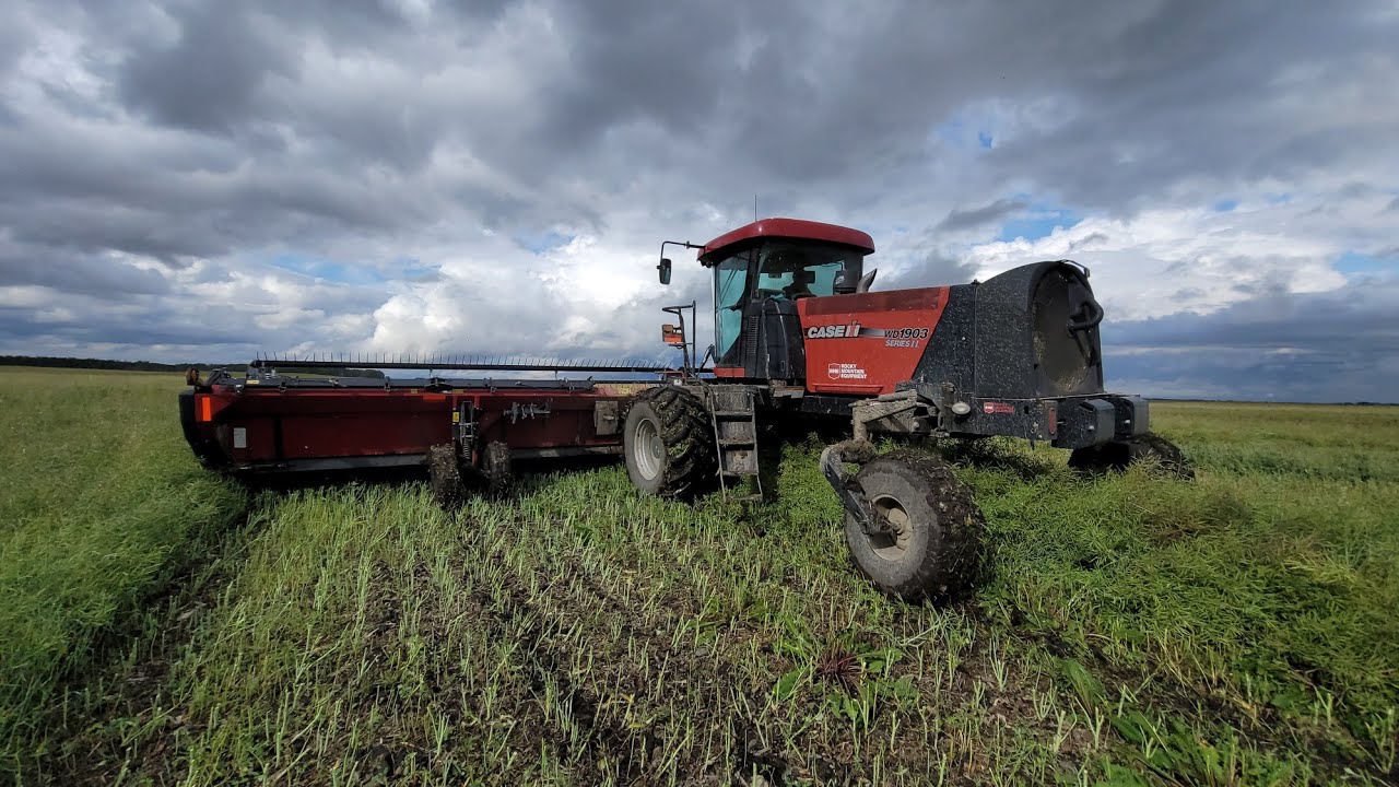 Swathing? 🤔