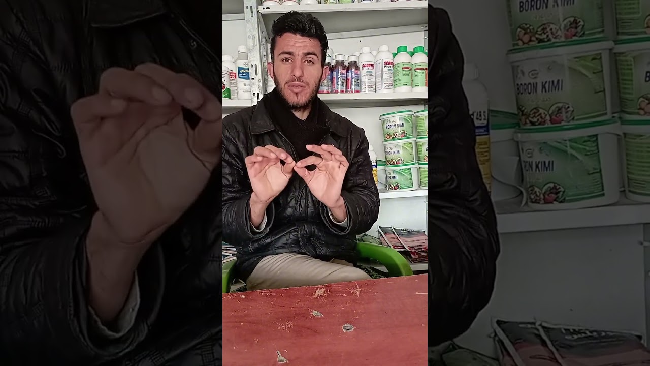 الكمون #دردشة  #الحلقة  8
