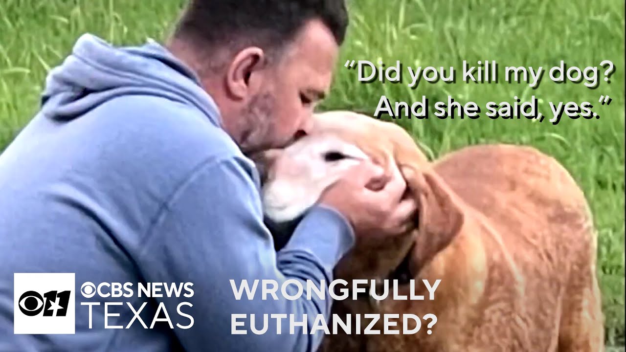 Denton Family heartbroken after missing dog euthanized at North Texas shelter